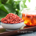 Buah goji berry buah wolfberry organik dengan nutrisi